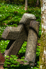 Old cemetery with crosses