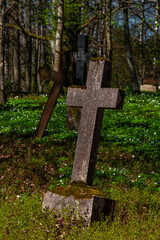 Old cemetery with crosses