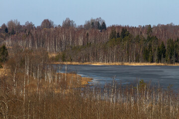Fototapeta premium lake in early springtime with reflections