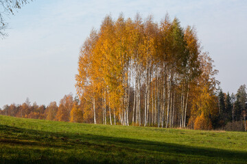 Autumn in Karula national park