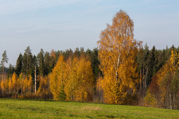 Autumn in Karula national park