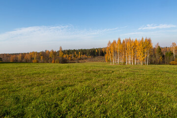 Autumn in Karula national park