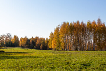 Autumn in Karula national park