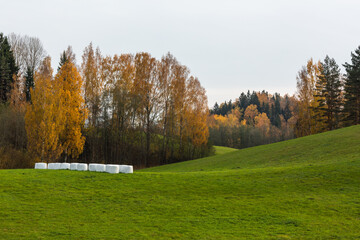 Autumn in Karula national park