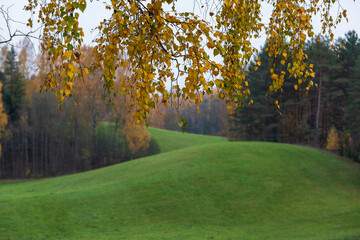 Autumn in Karula national park