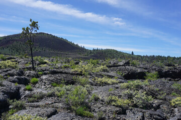 Black lava rock in Craters of the Moon National Monument (Idaho, United States)