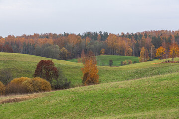 Autumn in Karula national park