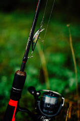 Moody pictured of Trout fishing trip in wild river. Green nature.