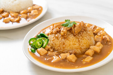 Chicken in brown sauce or gravy sauce with rice