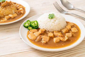 Chicken in brown sauce or gravy sauce with rice