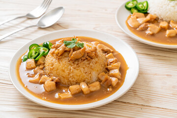 Chicken in brown sauce or gravy sauce with rice