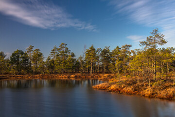 Fototapeta na wymiar Swamp on a sunny day in great colors