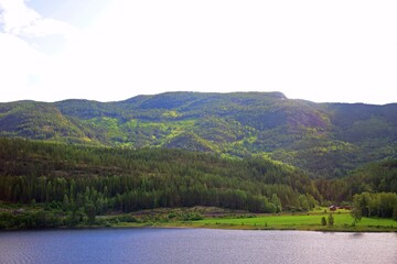Beautiful Norway forest landscape with green mountain and blue lake in a summer sunny day
