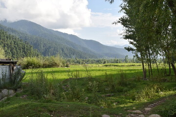 lake in the mountains