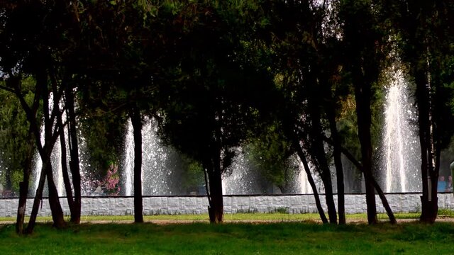 Park Water Fountain Trees 