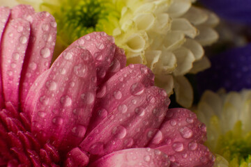 Close up of a colorful spring bouquet with many different colors