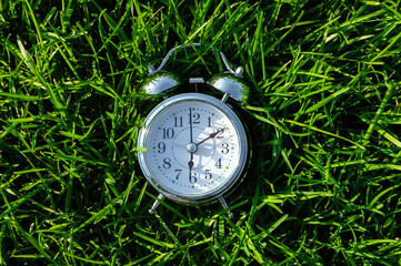 A metal alarm clock lies in the bright green grass in the Park
