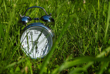 A metal alarm clock lies in the bright green grass in the Park