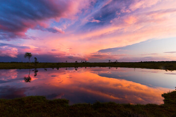Swamp on a sunny day in great colors
