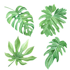 Aquarell handgemalte tropische Blätter und Pflanzen. Trendige grüne Dschungellaub ClipArt perfekt für Sommerhochzeitseinladungen und Partykarten machen