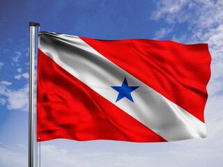 Para flag. One of the states of Brazil.
