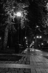 An empty illuminated park at the night.