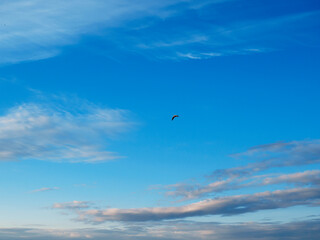 Bright blue sky with some clouds and flying bird