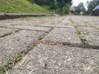 low-angle views of a paving block in a cluster housing