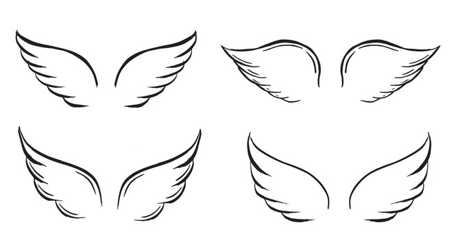 Angel wings vector hand drawn illustration