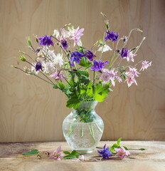 Rustic still life in a glass vase beautiful flowers pink white blue Aquilegia wooden background. Aquilégia vulgáris of the Buttercup family