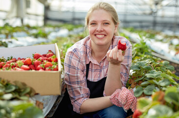 Woman tasting strawberry in greenhouse