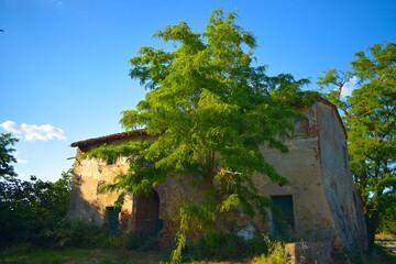 Old building in a sunny spring day with blue sky in Peccioli countryside, Valdera, Tuscany. Italy