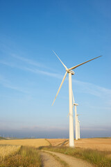 Fototapeta premium Sustainable energy concept