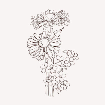 Vector dahlia flower. Autumn flowers bouquet.  Element for design.