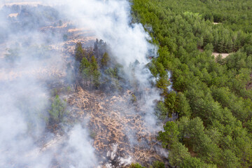 Aerial drone view of a wildfire in forested area