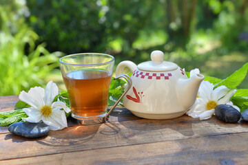 cup of mint tea and teapot on a wooden table in garden among fresh  leaf and white flowers