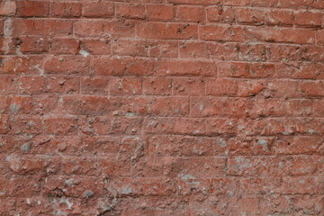 brick wall
Old solid brick wall with sun shadow background. texture for background