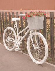 Fototapeta na wymiar White ghost bike with a basket full of pink flowers parking next to a rustic wooden fence - haunting ghostcycle roadside memorial -reminder to passing motorists to share the road