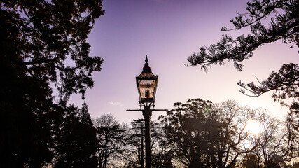 Fototapeta na wymiar Purple. Lamp against the purple sky. Colorful sky with a light post on a urban park. 