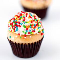 cupcake with sprinkles