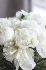 Obraz na płótnie Canvas bouquet of white spring flowers peonies