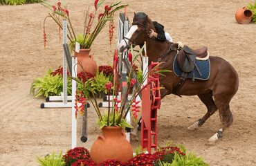 Rider falling down from a jumping horse on a tournament 