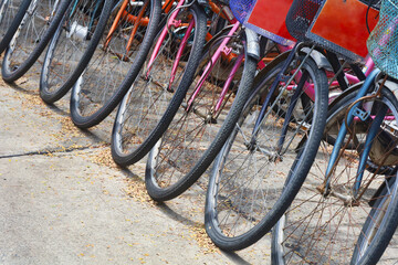 Rental bicycle parked in a row in the public park