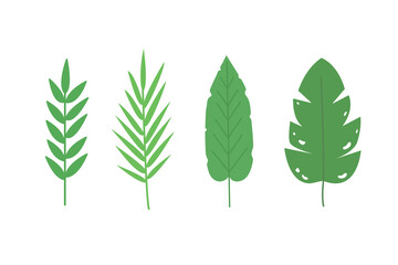 Set of large tropical leaves. Great for the background.