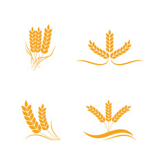 Agriculture wheat Template vector icon design