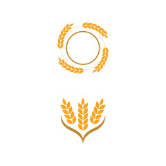 Agriculture wheat Template vector icon design