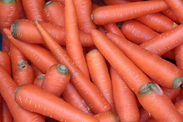 Fresh orange sweet carrots are sold