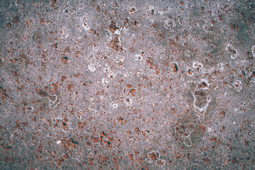The surface of a rough old wall or tile with pores, scratches, scuffs. Abstract trendy grunge vintage textured background.
