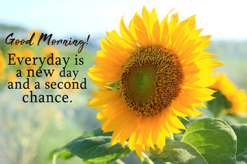 Inspirational quote - Good Morning. Everyday is a new day and a second chance. With sunflower...