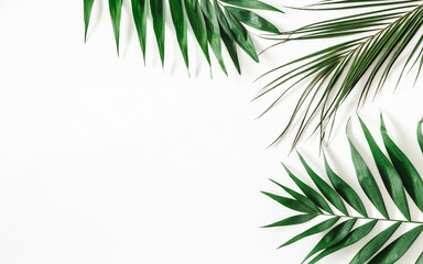 Summer composition. Tropical leaves on white background. Summer concept. Flat lay, top view, copy space